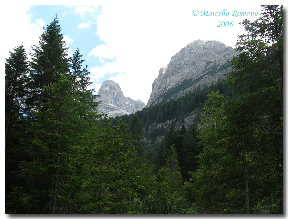 Insetti del Parco Adamello Brenta (TN): immagini e appunti